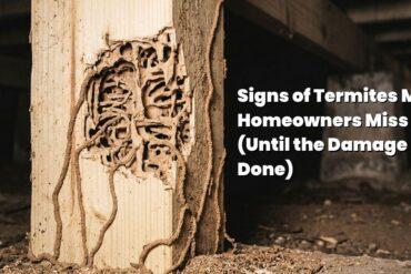 Signs of Termites Most Homeowners Miss (Until the Damage Is Done)