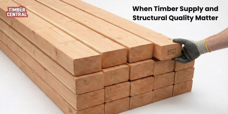 What Early Termite Activity in Timber Usually Looks Like