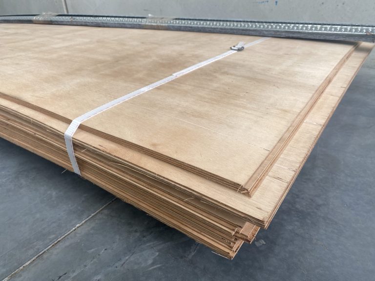 F22 Bracing Ply (2745×1200)