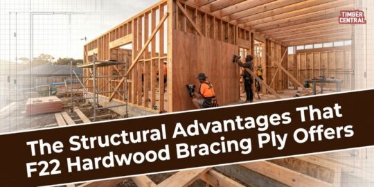 The Structural Advantages That F22 Hardwood Bracing Ply Offers